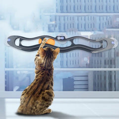 Suction Cup Window Track Ball Cat Toy